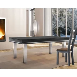 Billard Table : Harmony C Inox 100 % personnalisable