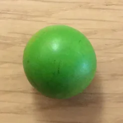 Bille en buis 20 mm vert