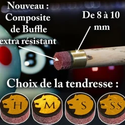 Procédé 8 pool 9/10 mm 2 couches Pro Lord Cue