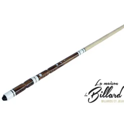 Queue de billard modulable